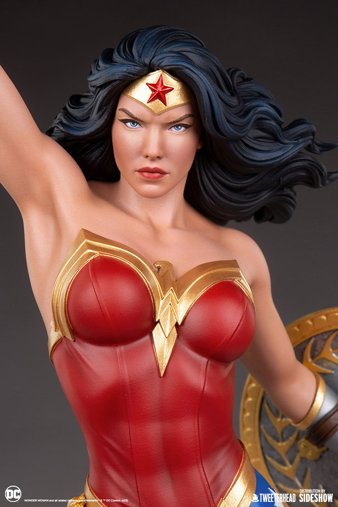 wonder-woman_dc-comics_gallery_61f1fec263334.jpg wonder woman dc comics gallery f fec