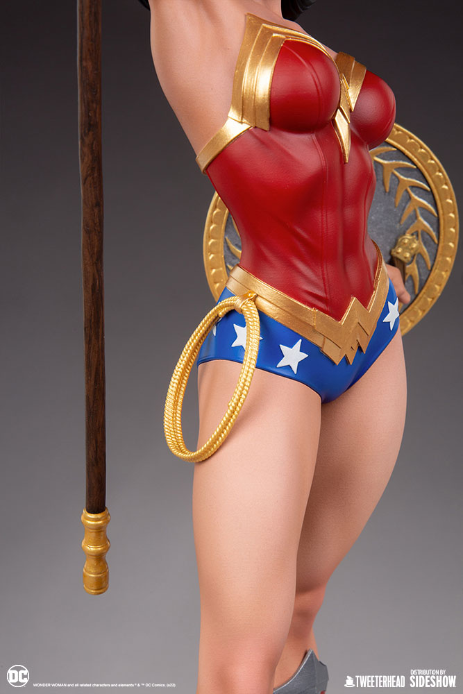 wonder woman dc comics gallery f fec ae