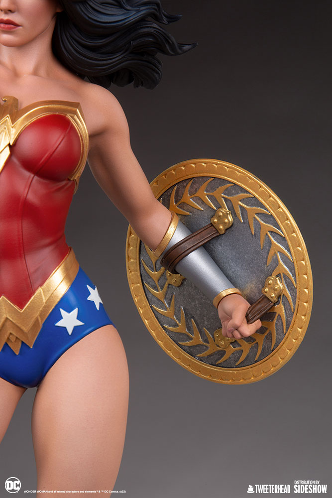 wonder woman dc comics gallery f fedbe ab