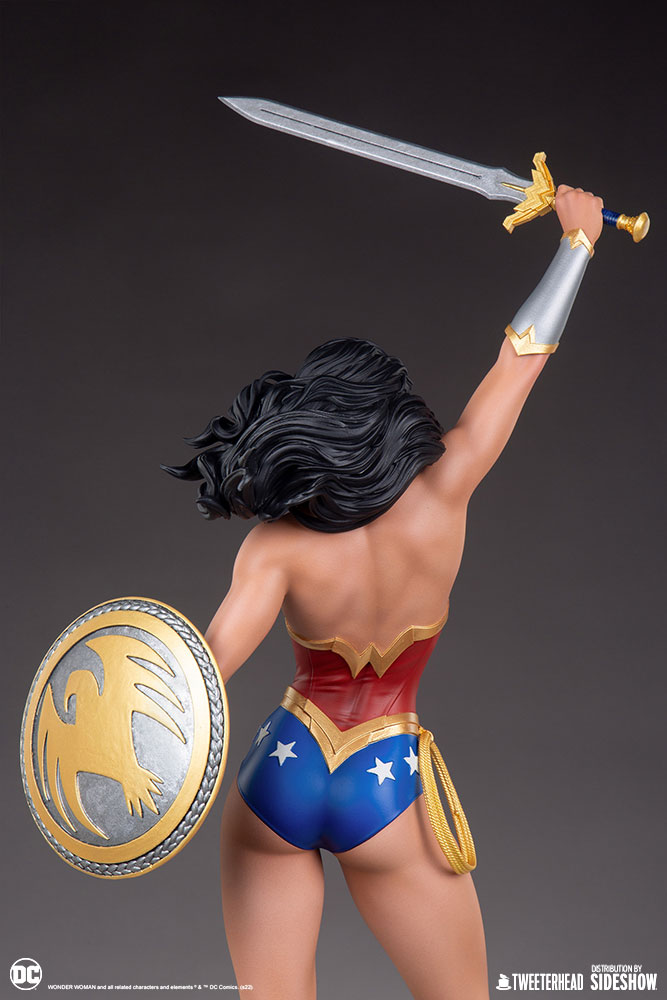 wonder-woman_dc-comics_gallery_61f1fedc51469.jpg wonder woman dc comics gallery f fedc