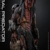 feral-predator-sixth-scale-figure-by-hot-toys_predator_gallery_6537f48cd8449