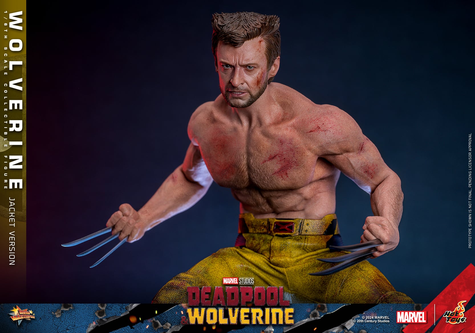 Hot Toys Wolverine Jacket Version Sixth Scale Figure Deadpool and Wolverine Limited Marvel 1:6 Collectible