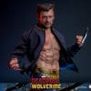 Hot Toys Wolverine Jacket Version Sixth Scale Figure Deadpool and Wolverine Limited Marvel 1:6 Collectible