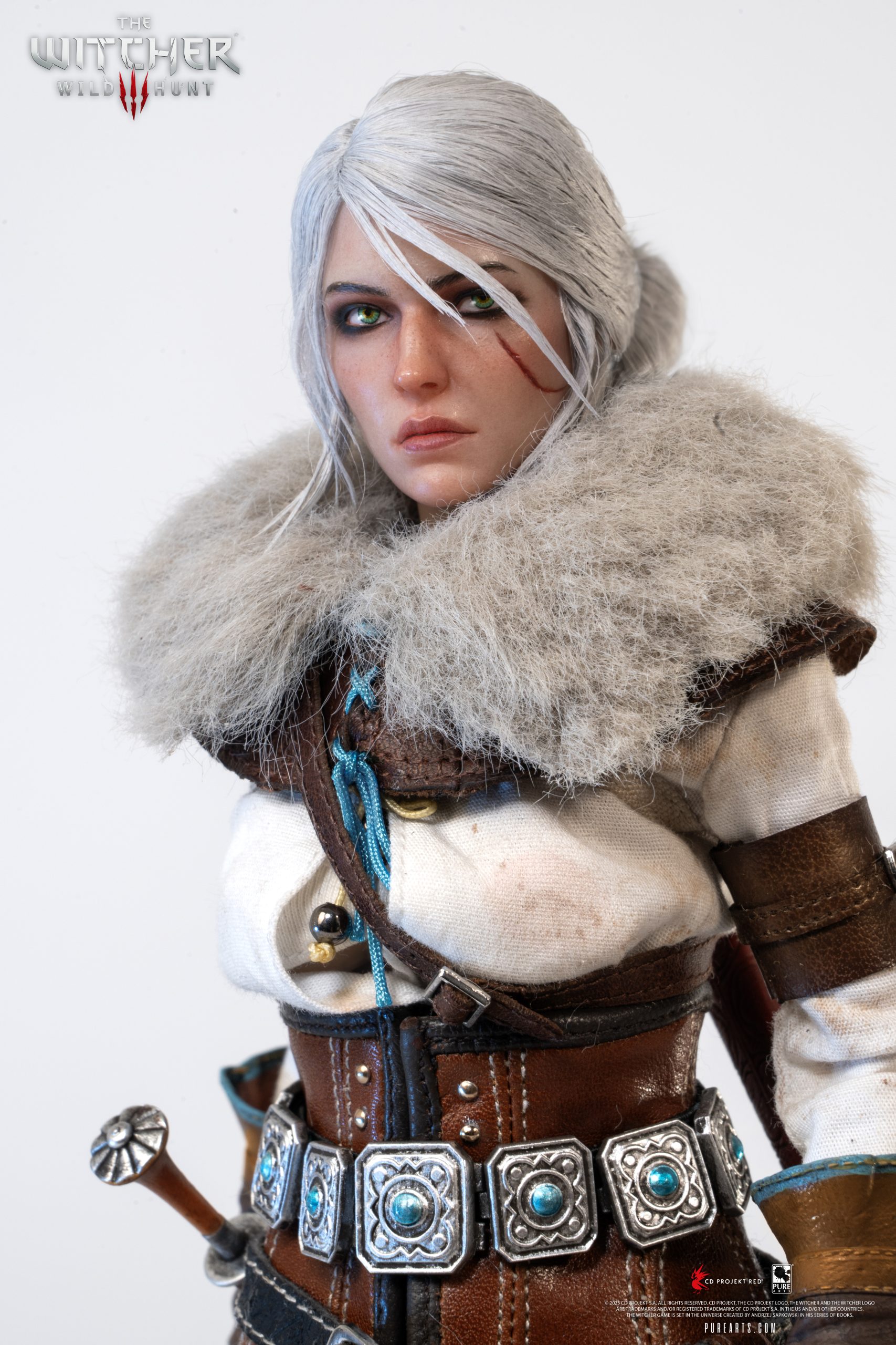 Ciri Sixth Scale Figure The Witcher 3 Wild Hunt Limited Collectible