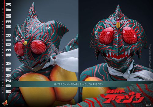 Kamen Rider Amazon Sixth Scale Figure - Comic Concepts