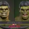 hot-toys-marvel-hulk-sixth-scale-figure-gallery-6a5e67486cef5