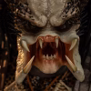 pcs-predator-predator-1-2-scale-statue-gallery-6a4684f8c0020